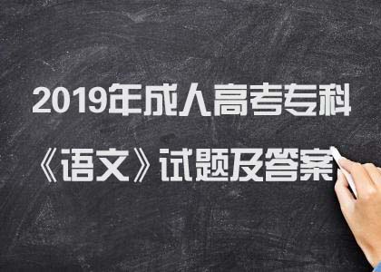 2019年成人高考专科《语文》试题及答案