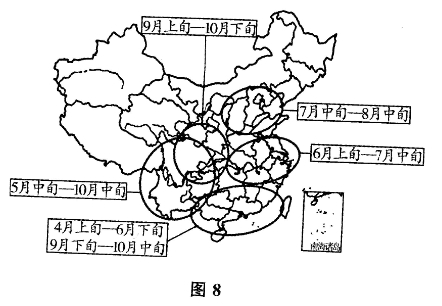 成考文综考试