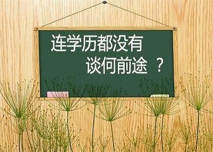 第一学历？最高学历？教育部：并无第一学历说法！