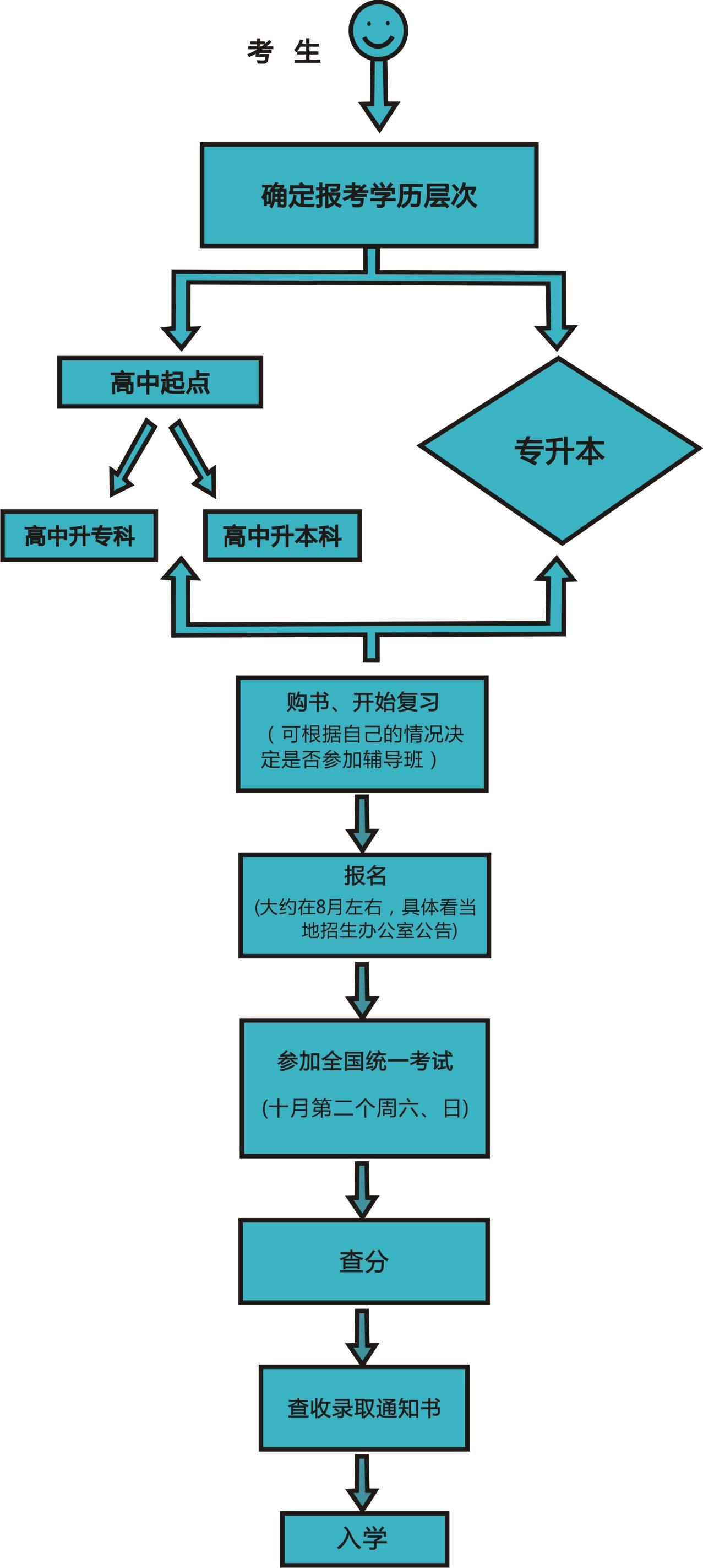 报考流程图