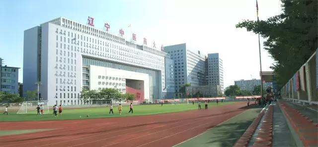 辽宁中医药大学