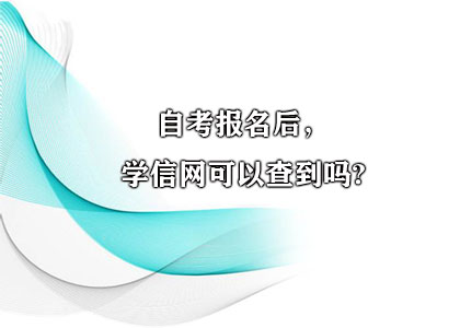 自考报名后,学信网可以查到吗?